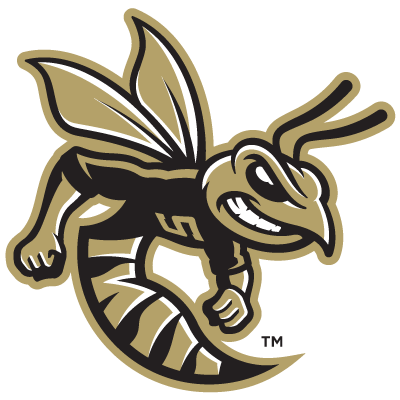 Sprayberry Football logo